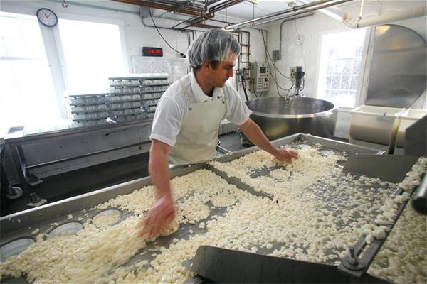Cheesemaker Mateo Kehler puts fresh cheese curds in molds at Jasper Hill in Vermont.