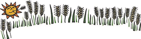 Illustration of a cartoon sun over a row of wheat stalks