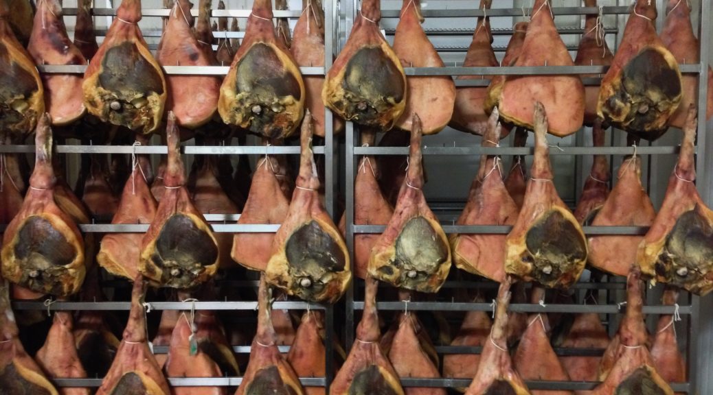Photograph of a couple dozen whole hams hanging to dry and cure.